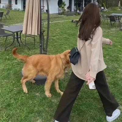 只想让你听见